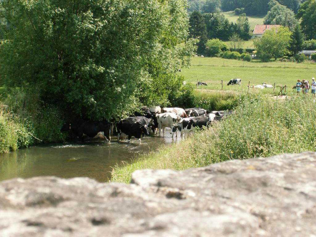 Auberge De Smockelaer Heijenrath Pokój zdjęcie